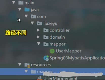 2501523569 2501523569